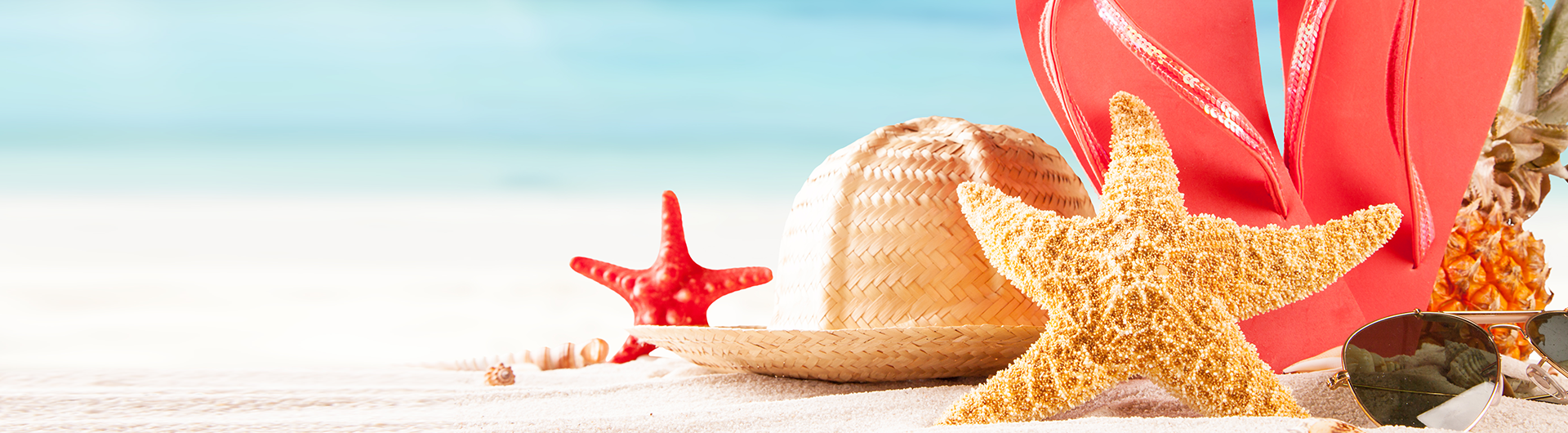 VACACIONES DE VERANO'25