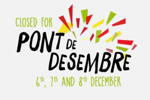 PONT DE LA PURÍSSIMA - FESTIU