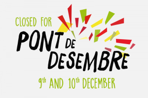 PONT DE LA PURÍSSIMA - FESTIU