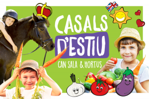 CASALES DE VERANO 2023