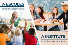 SERVICIOS A ESCUELAS E INSTITUTOS - 26-27