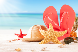 SUMMER HOLIDAYS